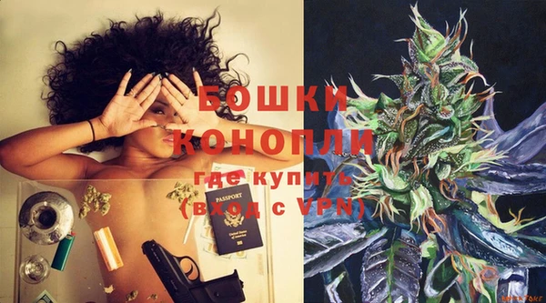 молекула духа Магадан