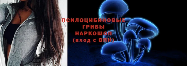 молекула духа Магадан
