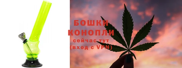 молекула духа Магадан