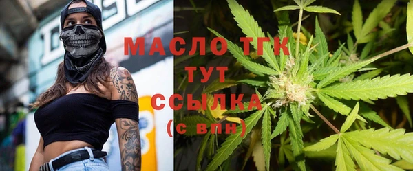 молекула духа Магадан